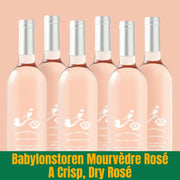 Six bottles of Babylonstoren Mourvedre Rosé wine on a peach background with green label.