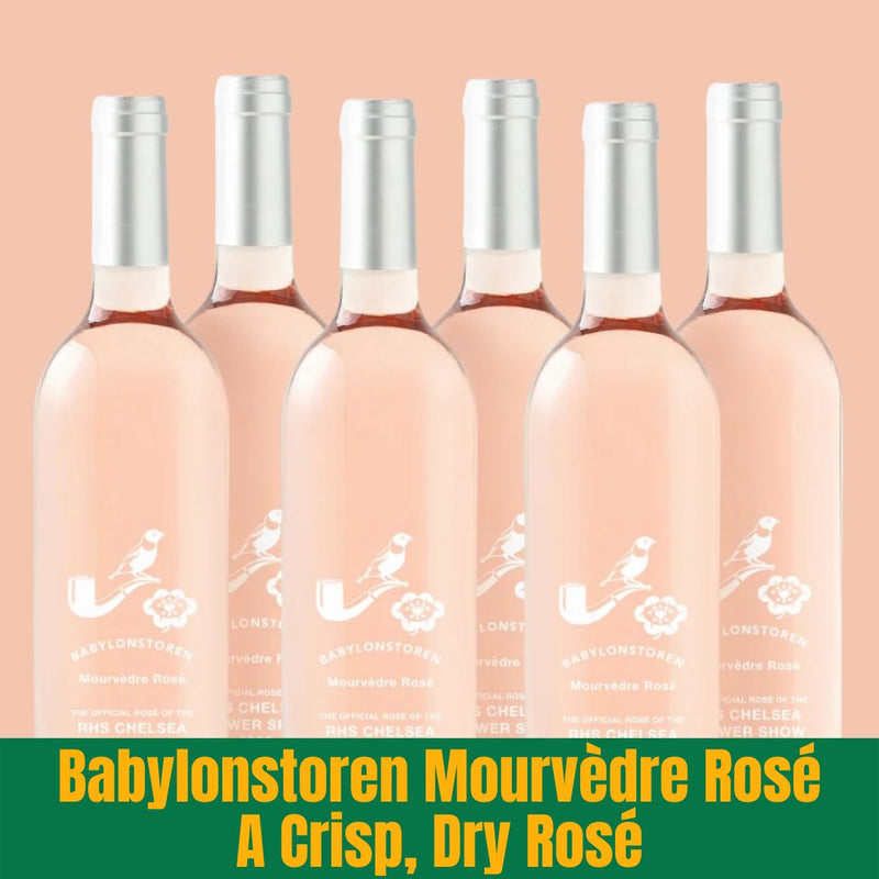 Six bottles of Babylonstoren Mourvedre Rosé wine on a peach background with green label.