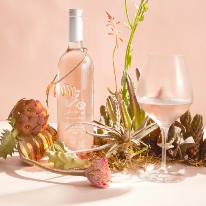 Bottle and glass of Babylonstoren Rose wine with decorative plants on a light background