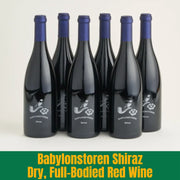 Six bottles of Babylonstoren Shiraz Dry Red Wine on a white background with text.