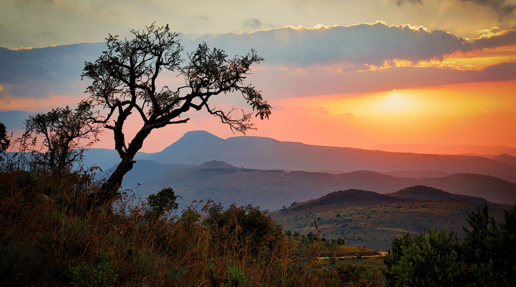 South African Sunset over a mountain range with a lone tree in the foreground.