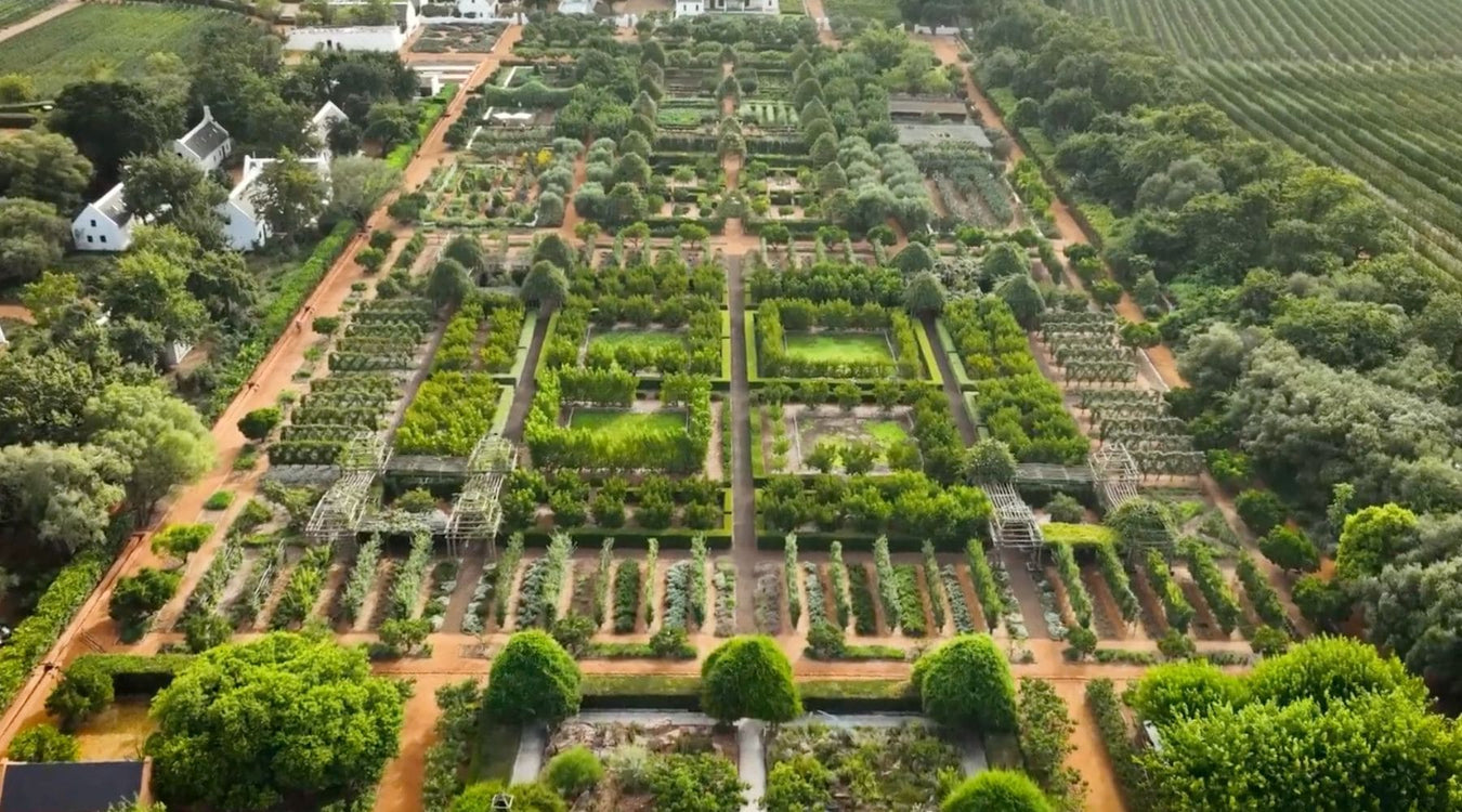Aerial view of the meticulously arranged Babylonstoren gardens in South Africa with geometric patterns.