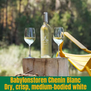 Bottle of Babylonstoren Chenin Blanc with two glasses on a wooden stump outdoors.