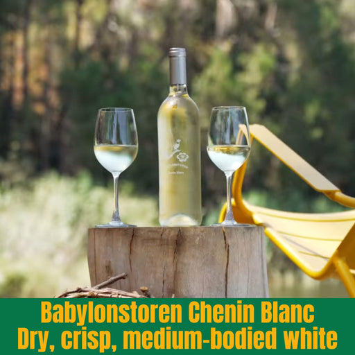 Bottle of Babylonstoren Chenin Blanc with two glasses on a wooden stump outdoors.