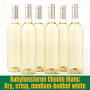 Six bottles of Babylonstoren Chenin Blanc wine on a white background with text describing the wine.