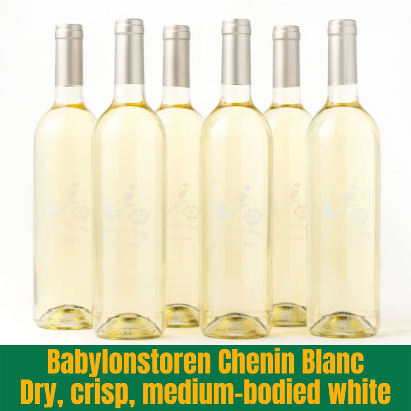 Six bottles of Babylonstoren Chenin Blanc wine on a white background with text describing the wine.