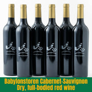 Six bottles of Babylonstoren Cabernet Sauvignon wine on a white background with product description text.