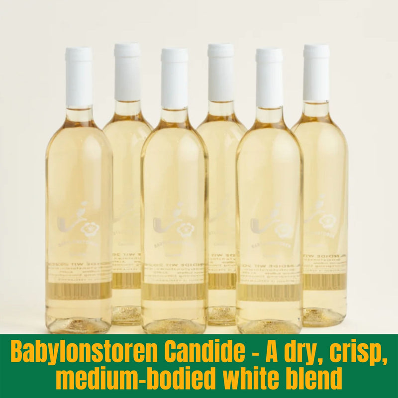 Six bottles of Babylonstoren Candide white blend wine on a beige background with text describing the wine.