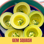 Sliced gem squash with herbs on a colorful plate, labeled 'Gem Squash'.