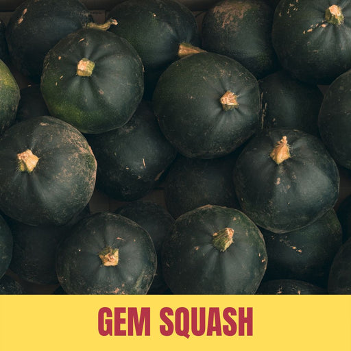 Close-up of green gem squash with 'GEM SQUASH' text at the bottom.