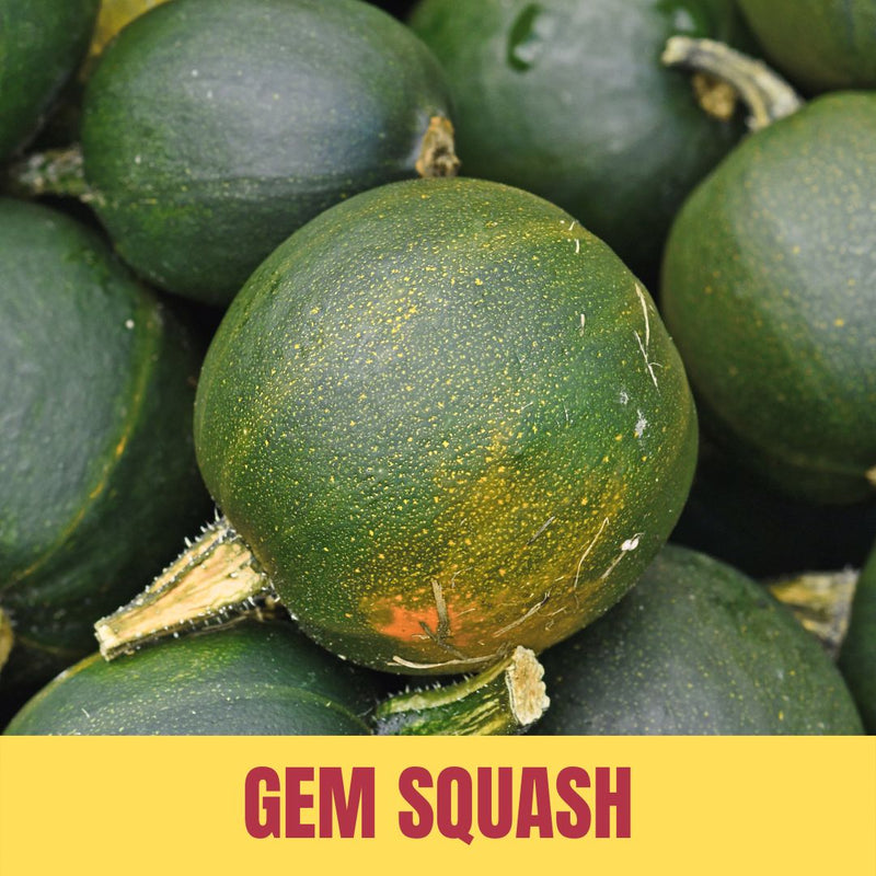 Close-up of green gem squash with 'GEM SQUASH' text at the bottom.