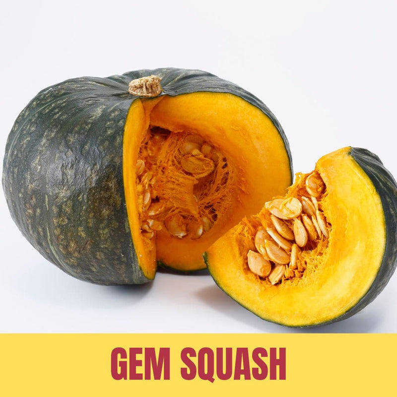 Halved gem squash with seeds exposed on a white background, labeled 'Gem Squash'.