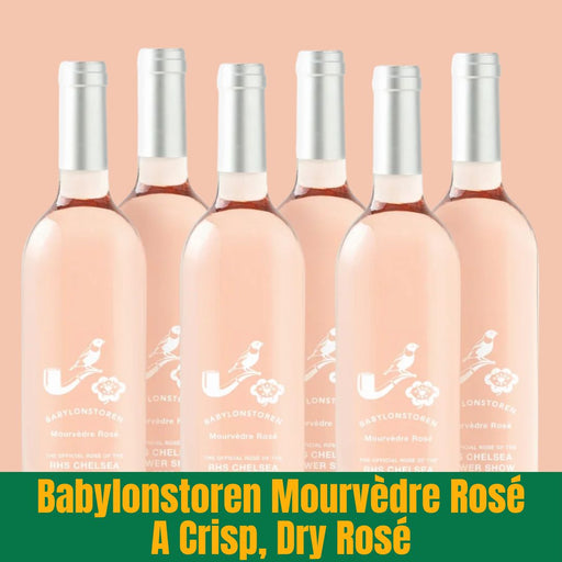 Six bottles of Babylonstoren Mourvedre Rosé wine on a peach background with green label.